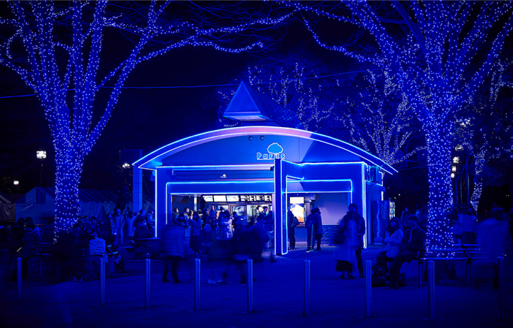 BLUE PARKS