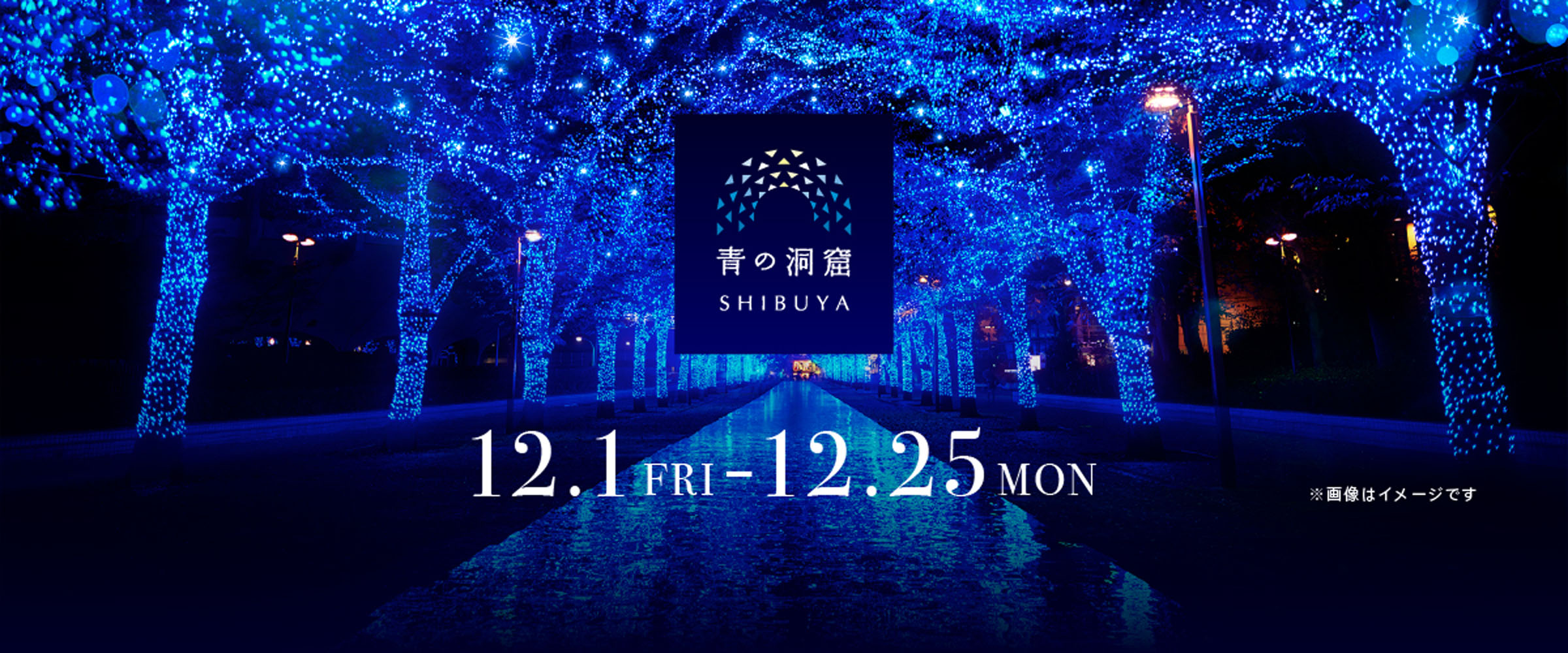 2023.12.1 THU - 12.25 SUN
